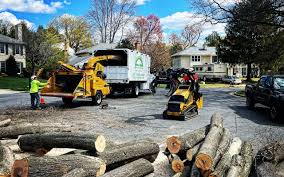 Best Commercial Tree Services  in Broomfield, CO